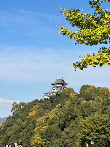 の犬山城遊覧船の旅 通信制高校 サポート校のトライ式高等学院 千種校のブログ