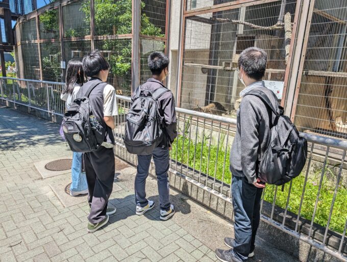 シャバーニには会えたのか!?🐨🦁🐯東山動物園で動物に癒されてきました～🦒🐘🐻 通信制高校・サポート校のトライ式高等学院公式ブログ  千種校ブログ